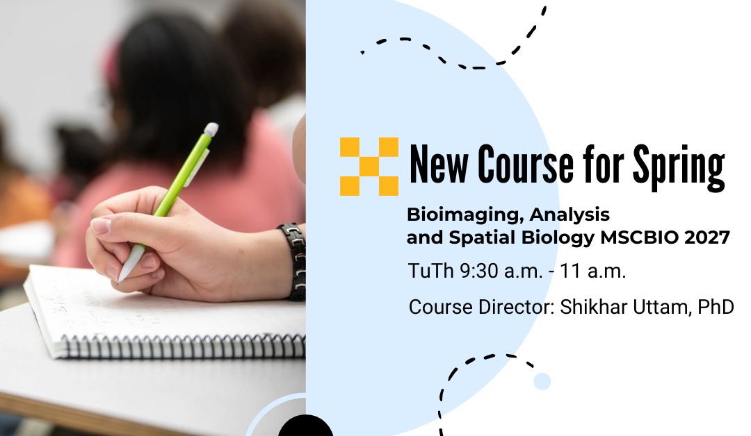 New course for spring semester