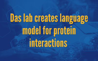 Das lab creates language model for protein interactions
